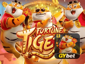 Guia install APK GYBET BR